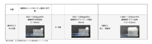 年齢別歯ブラシにつける歯磨き粉の量